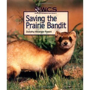Saving the Prairie Bandit (Wildlife Conservation Society Books) (Hardcover)